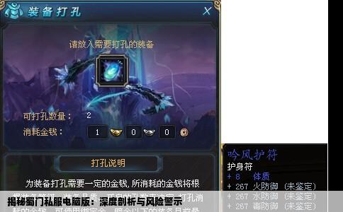 揭秘蜀门私服电脑版：深度剖析与风险警示