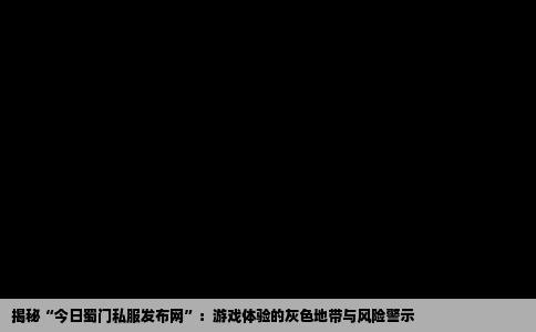 揭秘“今日蜀门私服发布网”：游戏体验的灰色地带与风险警示