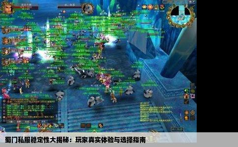 蜀门私服稳定性大揭秘：玩家真实体验与选择指南